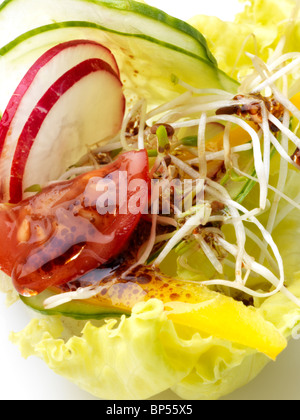 Insalata di lattuga cetriolo pomodoro fette di ravanello Foto Stock