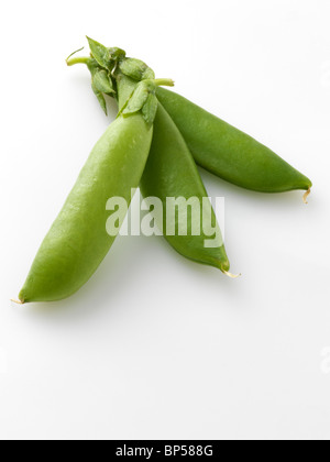 Zucchero piselli a scatto su sfondo bianco Foto Stock