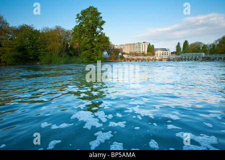 La lettura di stramazzo sul Fiume Tamigi a King's prato, Berkshire, Regno Unito Foto Stock