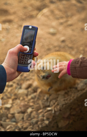 Immagine del giovane femmina mano tramite telefono cellulare per scattare una foto del bambino di raggiungere verso un cane della prateria. Foto Stock