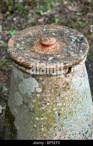 Rabarbaro antichi pot. Il Lichen coperto vaso in terracotta con coperchio. Foto Stock