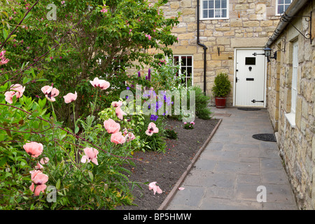 Casa e giardino frontale a Warkworth, Northumberland. Papaveri rosa e viola campanule e lupini in un giardino cottage. Foto Stock