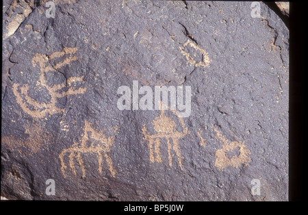 3462]. MT. CARCOM, rock disegni raffiguranti animali locali e scene di caccia Foto Stock