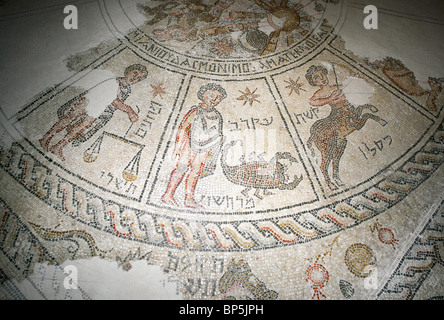SEPPHORIS Sinagoga risalente al C. 5TH. C. AD. Particolare del pavimento a mosaico raffigurante lo zodiaco: simbolo di Scorpione Il ebraico Foto Stock