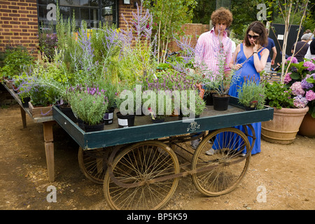 Fiori in una disposizione / piantagione / impianti su un fiore carrello / carri a Petersham vivai, Petersham. Richmond on Thames Regno Unito. Foto Stock