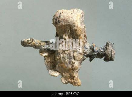 HEELBONE di un uomo crocifisso con il chiodo di ferro che ha trafitto il osso & fissato a lui di legno. L'OSSO È STATO TROVATO IN UN Foto Stock