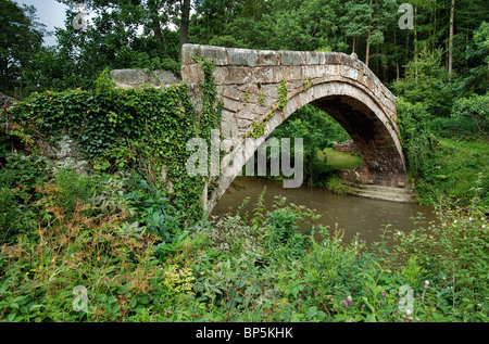 Una vista di antichi mendicanti di ponte a Glaisdale nella valle Esk Foto Stock