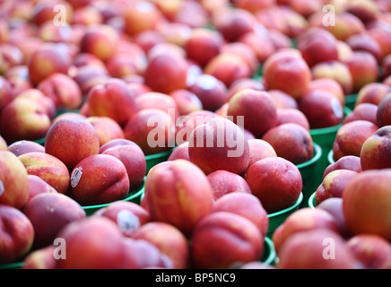 Una collezione di vassoi con nuovo mercato agricolo il nettarine Foto Stock