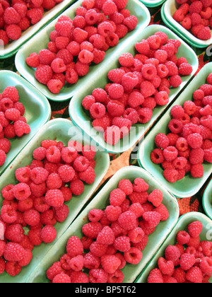 Una collezione di vassoi con nuovo mercato agricolo di lamponi rosso Foto Stock
