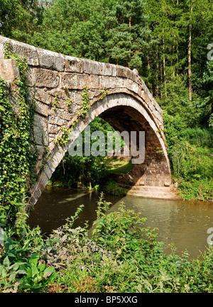 Una vista di antichi mendicanti di ponte a Glaisdale nella valle Esk Foto Stock