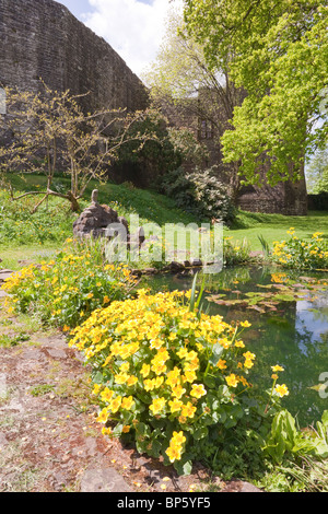 Lo stagno in un giardino nel fossato di San Briavels castello, ora un YHA Ostello della gioventù, nella Foresta di Dean, nel Gloucestershire. Foto Stock