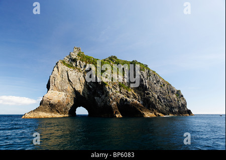 Viste di Piercy Island, il foro nella roccia, Nuova Zelanda Foto Stock