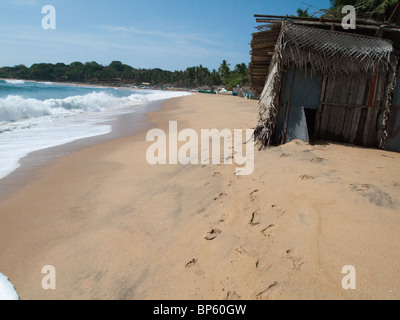 Sri Lanka, Ampara District, Arugam Bay, Pottuvil un piccolo villaggio di pescatori e surf resort. Capanne di paglia sulla spiaggia Foto Stock
