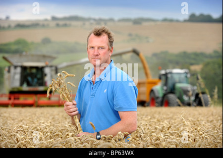 Un agricoltore di seminativi da Wiltshire in un campo di grano REGNO UNITO Foto Stock