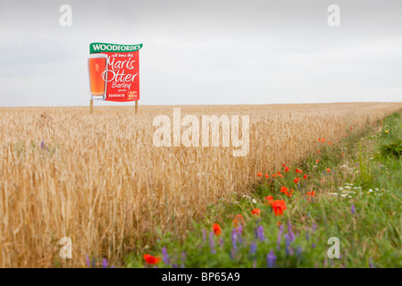 Un segno per il Maris Otter orzo coltivato per Woodforde's Brewery in norfolk, Regno Unito. Foto Stock