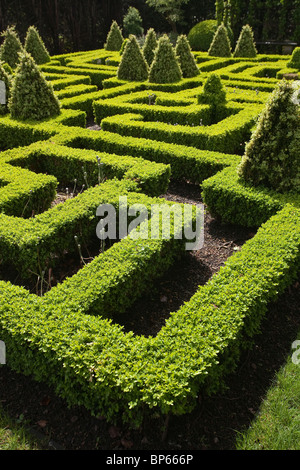 Bourton House Garden Bourton-on-the-Hill, Glocestershire, Inghilterra, Regno Unito. Foto:Jeff Gilbert Foto Stock