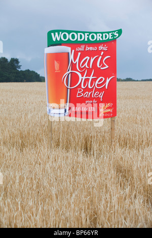 Un segno per il Maris Otter orzo coltivato per Woodforde's Brewery in norfolk, Regno Unito. Foto Stock