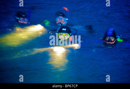 Subacquei affiorante da una immersione notturna in Wast Water,Cumbria,Inghilterra Foto Stock