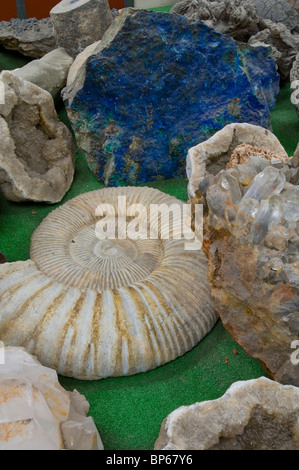 Geologia esemplari sul display a Chapman's Gem & Mineral Shop & Museum Foto Stock