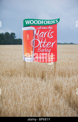 Un segno per il Maris Otter orzo coltivato per Woodforde's Brewery in norfolk, Regno Unito. Foto Stock