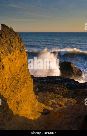 Onde che si infrangono sulle rocce costiere al tramonto, Shelter Cove, sul robusto perso Costa, Humboldt County, California Foto Stock