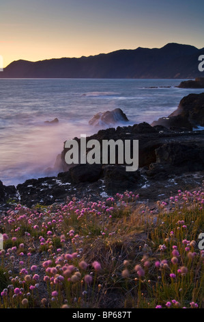 Luce della Sera sulla costa perso a Shelter Cove, Humboldt County, California Foto Stock