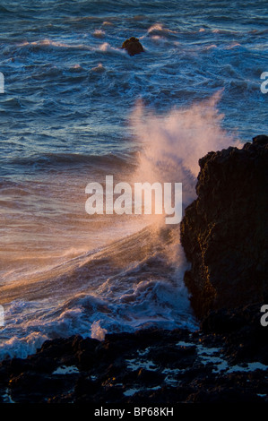 Onde che si infrangono sulle rocce costiere al tramonto, Shelter Cove, sul robusto perso Costa, Humboldt County, California Foto Stock