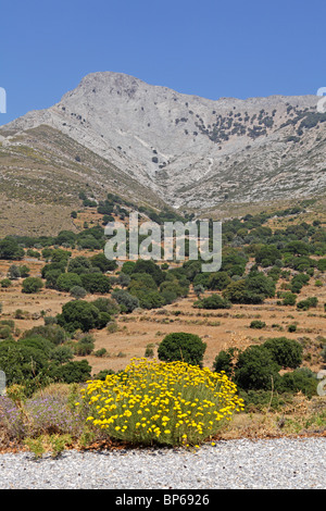 Zas montagna, isola di Naxos, Cicladi, ISOLE DELL' EGEO, Grecia Foto Stock