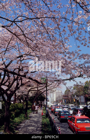 Intorno all' Ambasciata Britannica, Chiyoda, a Tokyo, Giappone Foto Stock