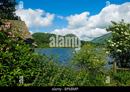 Guardando attraverso Grasmere verso Helm Crag in estate Lake District National Park Cumbria Inghilterra Regno Unito GB Gran Bretagna Foto Stock