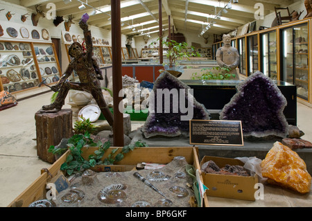 Ametista e altri rock e geologia esemplari sul display a Chapman's Gem & Mineral Shop & Museum Foto Stock