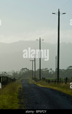 Piccolo paese rurale lane road, vicino a Ferndale, California Foto Stock