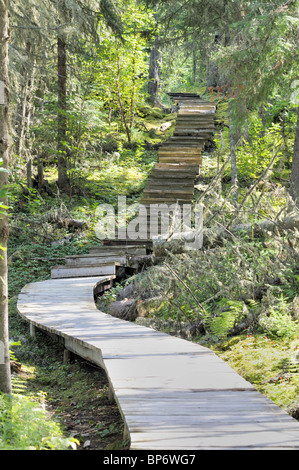 Il lungomare che conduce al gufo grigio's cabin, beaver lodge, Prince Albert National Park, Saskatchewan in Canada. Foto Stock