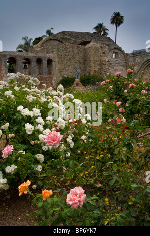 Fiori in fiore nel giardino vicino alla grande chiesa di pietra, la Missione di San Juan Capistrano, San Juan Capistrano, California Foto Stock