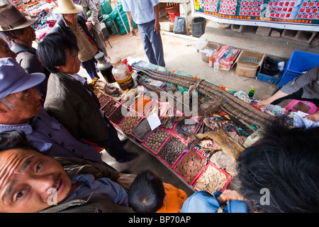 Animali esotici come la medicina tradizionale sul giorno di mercato nel villaggio di Shaxi, nella provincia dello Yunnan in Cina Foto Stock