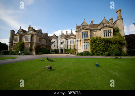 Corsham Corte WILTSHIRE REGNO UNITO Pavoni Foto Stock