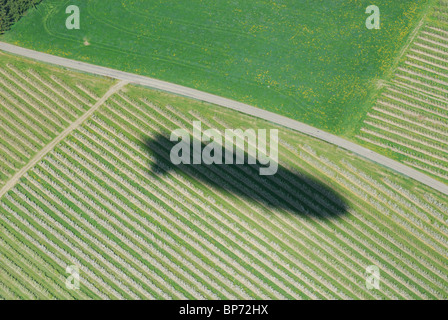 Ombra sul modello di vigna di massa del dirigibile dirigibile Zeppelin NT, vicino a Lindau, Baviera, Germania Foto Stock