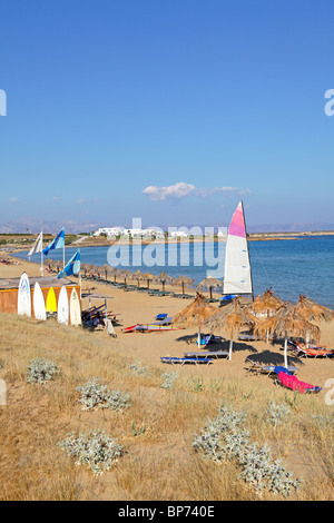 Spiaggia Nea Chrissi Akti (spiaggia dorata), isola di Paros, Cicladi, ISOLE DELL' EGEO, Grecia Foto Stock