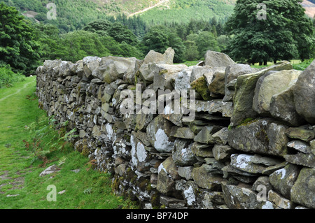A secco di ardesia muro di pietra Foto Stock