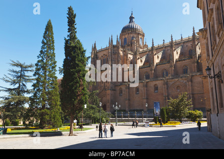 Salamanca, provincia di Salamanca, Spagna. La cattedrale si vede attraverso Plaza de Anaya. Foto Stock