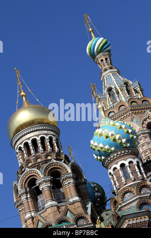 Cupole a cipolla di Chiesa di nostro Salvatore sul Sangue versato a San Pietroburgo, Russia Foto Stock