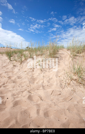 Yyteri dune di sabbia in Pori, Finlandia Foto Stock