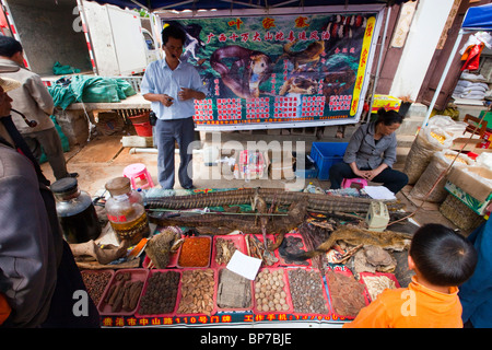 Animali esotici come la medicina tradizionale sul giorno di mercato nel villaggio di Shaxi, nella provincia dello Yunnan in Cina Foto Stock