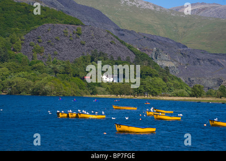 Llanberis, Llyn Padarn, Snowdonia, Galles del Nord, Regno Unito Foto Stock