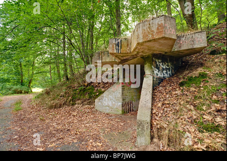 Resti di una fabbrica di dinamite della Dynamit Nobel AG Doemitz, Meclemburgo-Pomerania Occidentale, Germania, Europa Foto Stock