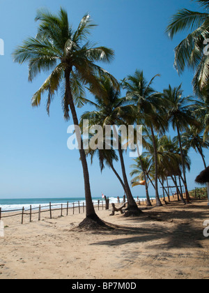 Sri Lanka, Ampara District, Arugam Bay, Pottuvil un piccolo villaggio di pescatori e surf resort. Le palme sulla spiaggia Foto Stock