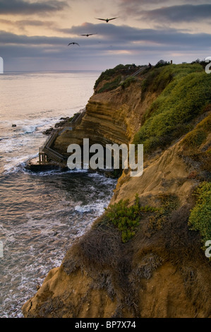 Nebbia costiera nuvole e pellicani al tramonto sull'Oceano Pacifico, a Sunset Cliffs, San Diego, California Foto Stock