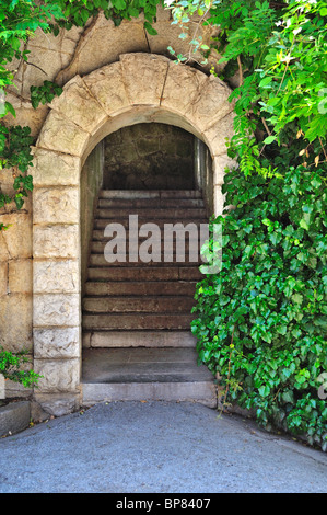 Entrata. Gateway segreta di un altro mondo Foto Stock