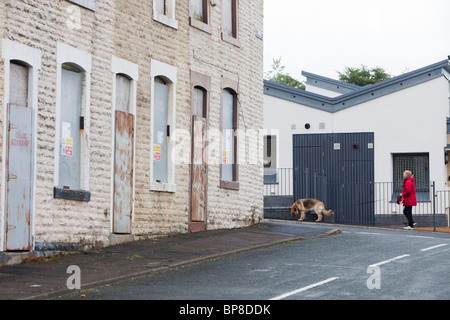 Imbarcati su case a schiera in Burnley area di legno di Burnley, LANCASHIRE REGNO UNITO Foto Stock
