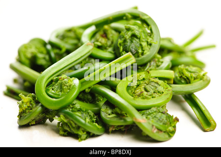 Pila di fresh spring wild fiddleheads close up Foto Stock